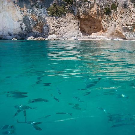 Conghiglia Nord Apartamento Cala Gonone Exterior foto