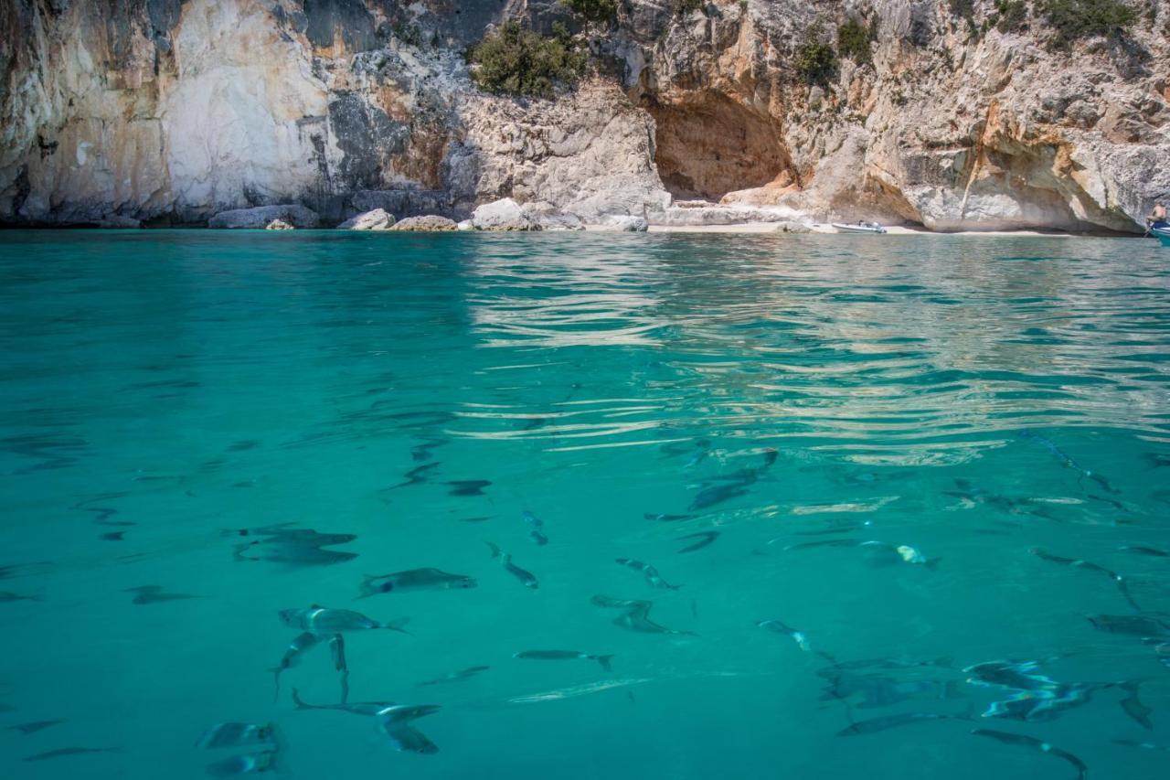 Conghiglia Nord Apartamento Cala Gonone Exterior foto